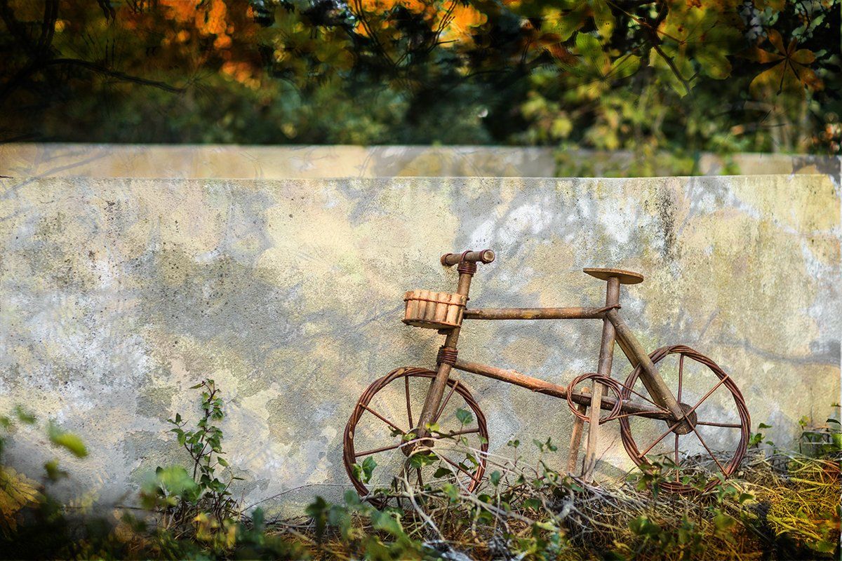 Fotografía Bicicletas - Rosa Collado