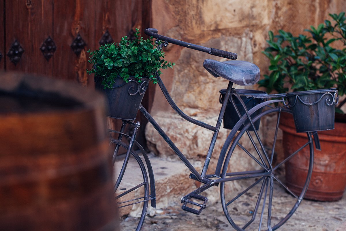 Fotografía Bicicletas - Rosa Collado